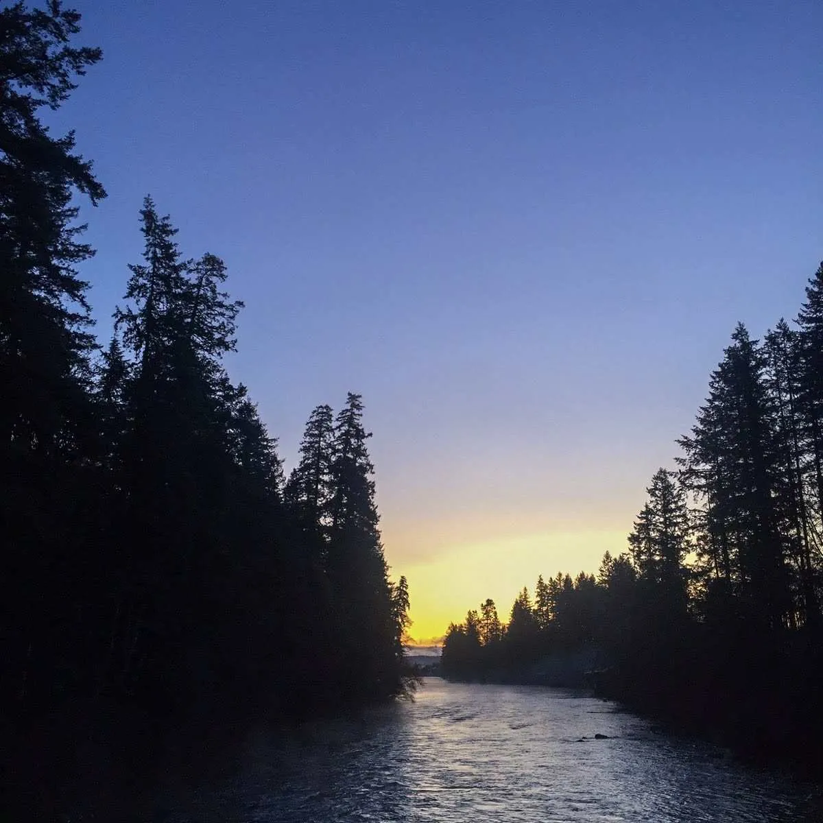 Campbell River Sunset Silhouette