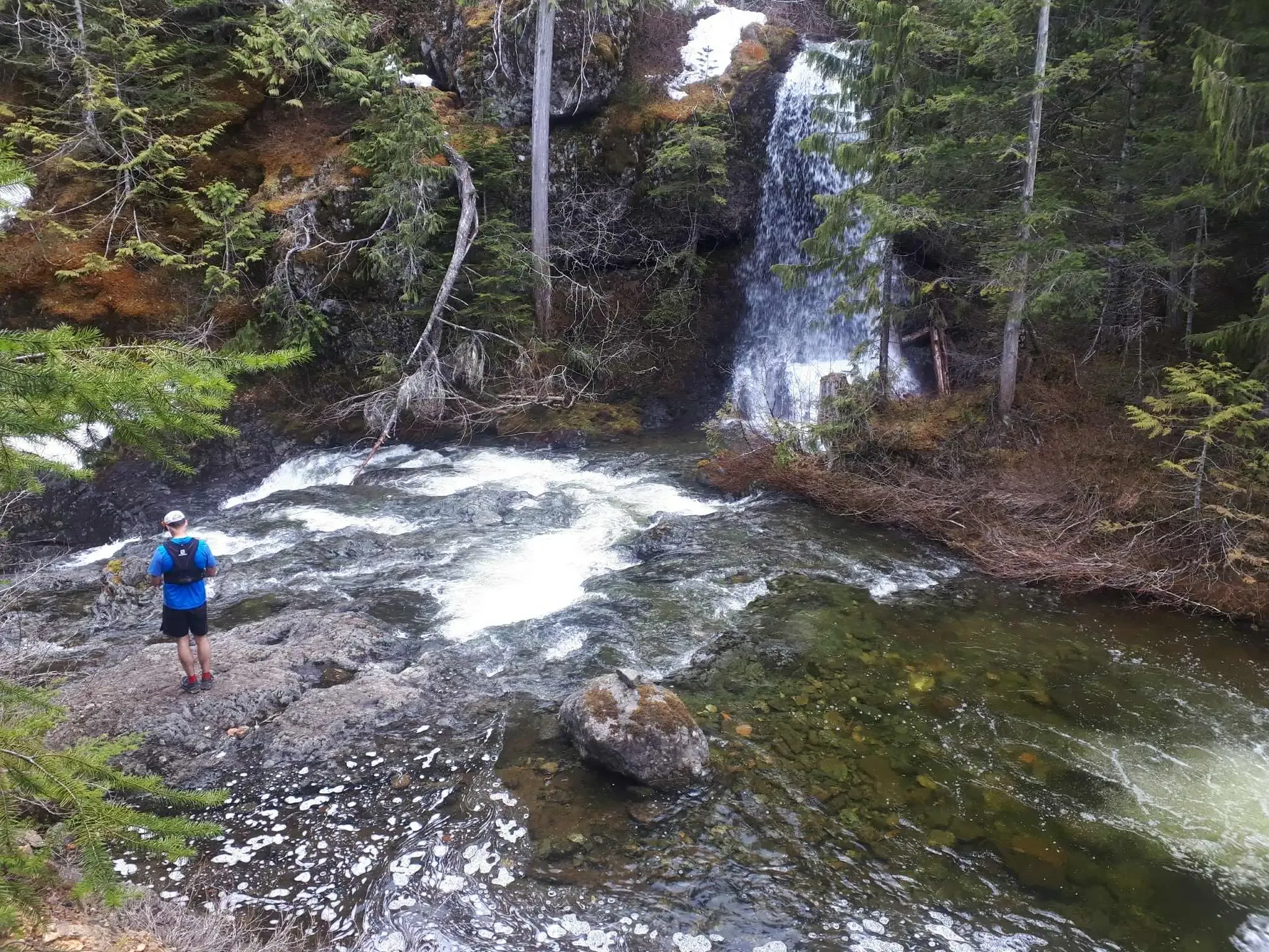 Forest trails in Campbell River