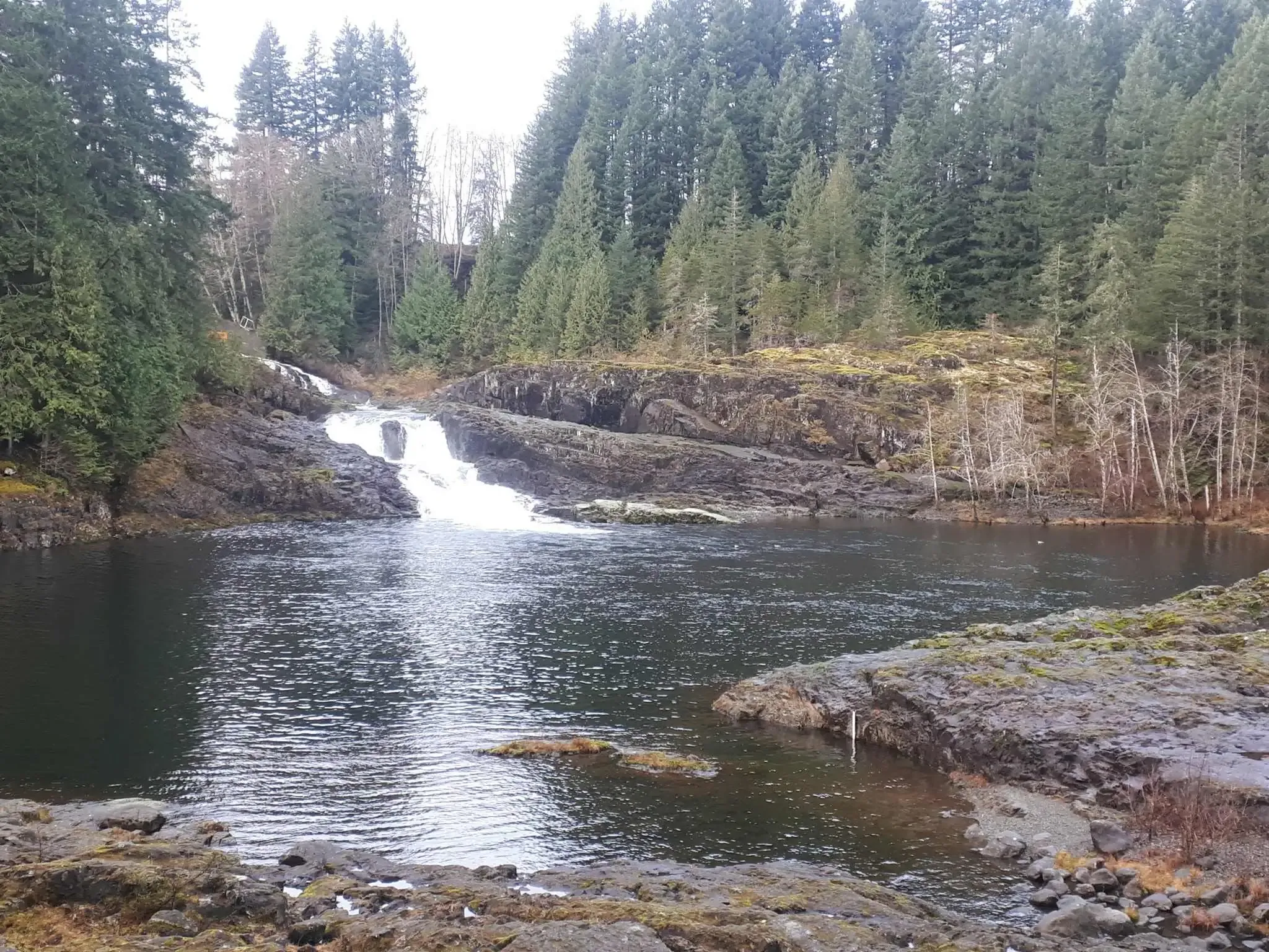 Elk Falls Campbell River Scenic