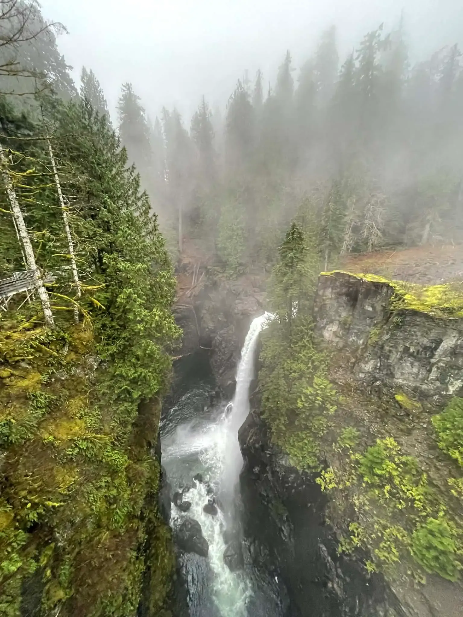 Elk Falls suspension bridge over canyon