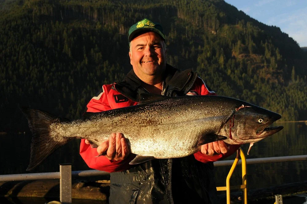 Trophy Tyee Chinook Salmon Campbell River